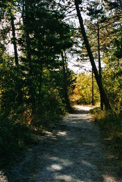 20030823 noordwijkerhout03